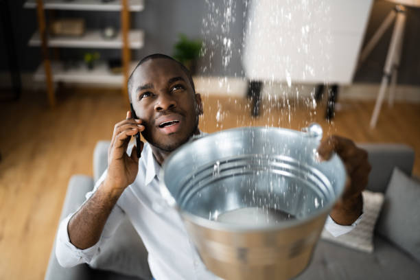 Best Professional water damage repair  in Addison, WV