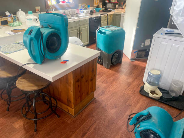 Best Water damage restoration company  in Addison, WV