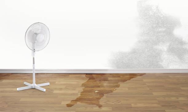 Best 24/7 water damage repair  in Addison, WV