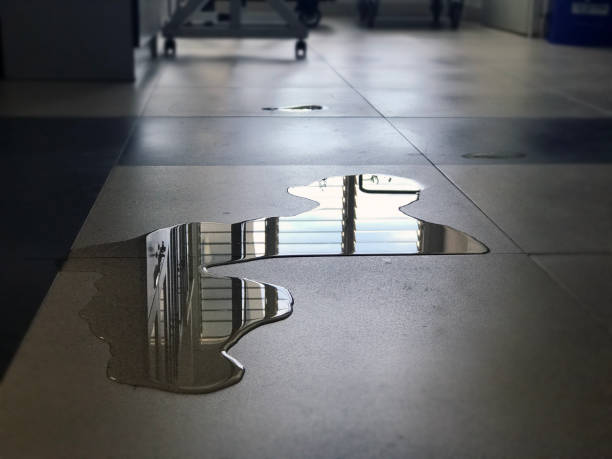 Best 24/7 water damage repair  in Addison, WV