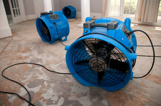  Addison, WV Water damage restoration Pros