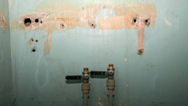 Best Local water damage restoration  in Addison, WV