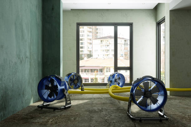 Best Carpet water damage restoration  in Addison, WV